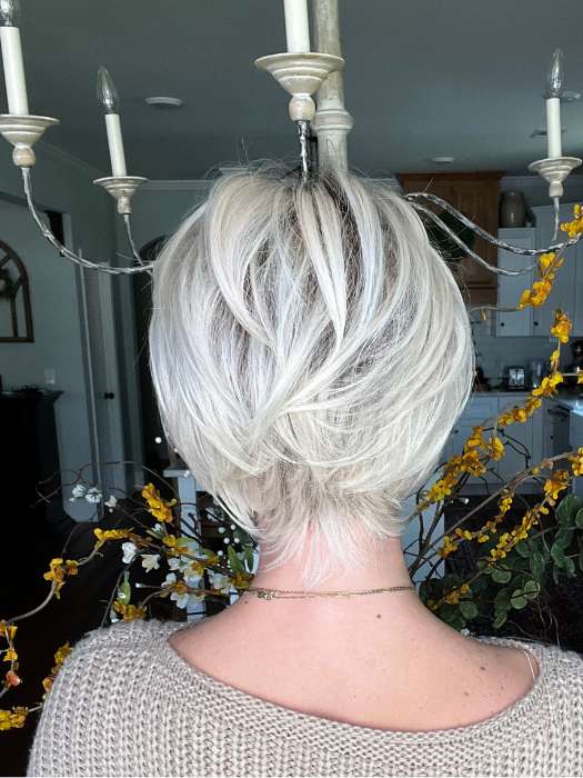 Pixie Lite | Synthetic Lace Front Wig (Mono Top) - Image 4