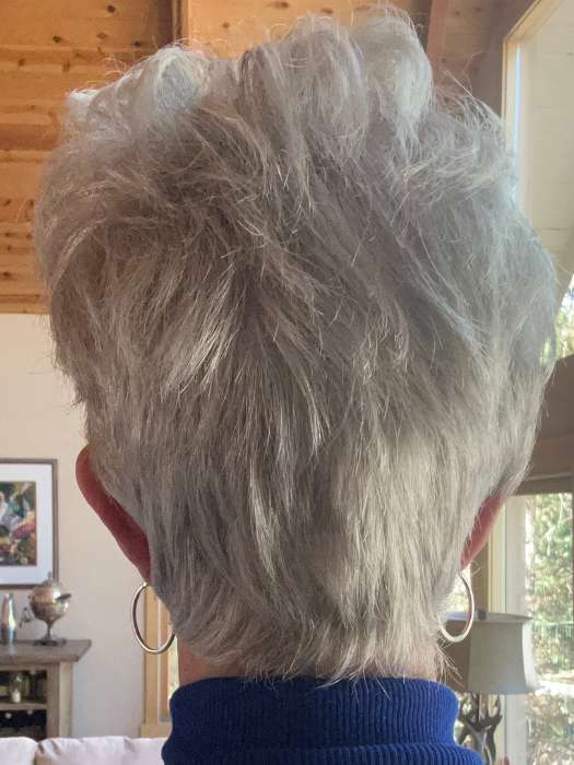 Tab | Synthetic Lace Front Wig (Mono Crown) - Image 14